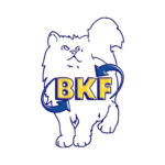BKF-Schule GmbH